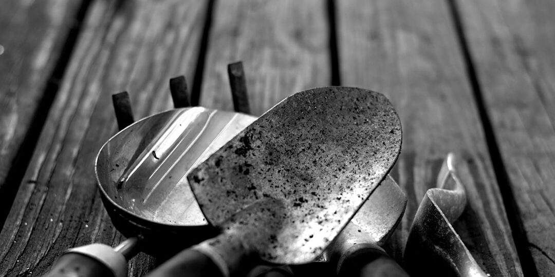 Photo Gardening tools