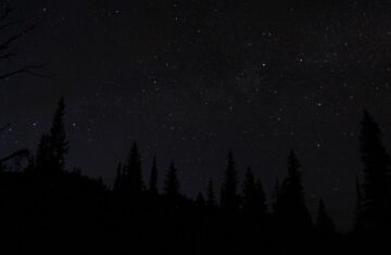 Photo Slim-fit black trousers