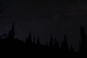 Photo Slim-fit black trousers