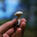 Photo petite plus size