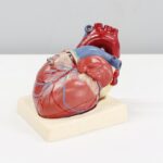 Photo ecg