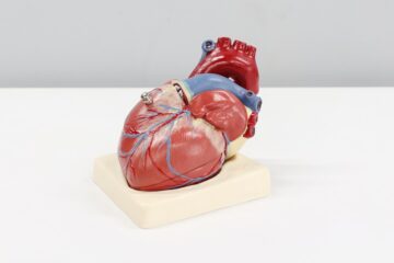 Photo ecg