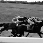 Photo horse racing